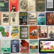 “American literature” – a bookshelf, bikofornot