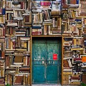 “LIJ must read” – a bookshelf, Vanessa Puga