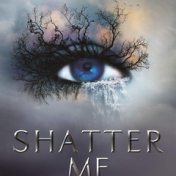“Shatter Me Series” – a bookshelf, Gail
