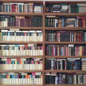 “Толстые романы” – een boekenplank, multymer