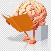 “Мозг, память, интеллект” – a bookshelf, Светлана