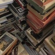 “Думки” – a bookshelf, lisa