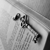“Современная зарубежная литература” – a bookshelf, Anastasiya Dudina