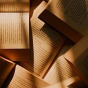 “Litteraturhistorie” – a bookshelf, Siff Columbine Warncke