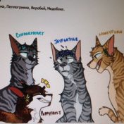 Cats - Warriors, Тая Чистякова