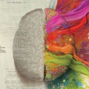 “Развитие интеллекта, тайны мозга”, una estantería, GoToHawaii