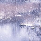 “Vinter eventyr”, una estantería, Lykke Mølkjær Neesgaard