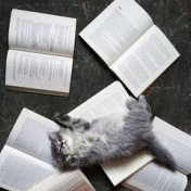 “Саша, что почитать?” – a bookshelf, Alexandrina Elagina