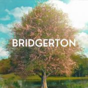 “Bridgerton Saga” – bir kitap kitaplığı, Ale💤