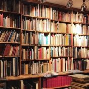 “Художка (читать ее, я, конечно, не буду)” – a bookshelf, Даша