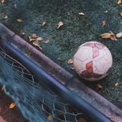 „Fußball“ – Ein Regal, Bookmate