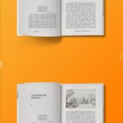 “Книги быстрого приготовления от магистров ВШЭ” – a bookshelf, Ridero