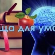 “Пища для ума” – uma estante, Ольга Даудова