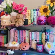 ““Amor y estrellas”” – a bookshelf, brenda Cortes