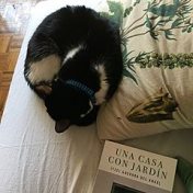 “Cuarentena” – a bookshelf, Janisse De La Rosa