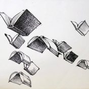 „Literatura“ – Ein Regal, Jair Alburquerque Balderas