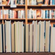 „Libros de no ficción” – egy könyvespolc, LibrosB4Tipos