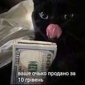 „Коты-воители“ – лавица, Никита Легостаев