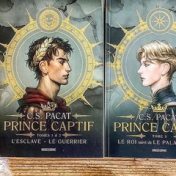 “captive prinse” – een boekenplank, Vlada Safarova