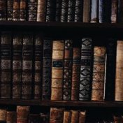 “Donde los dragones viven” – een boekenplank, Aneliz Pendragon