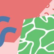 “Антиутопии” – a bookshelf, Тимофей Воронов