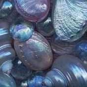 «🌧️» — полка, Miki <3