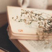 “Para llenar la vida de poesía” – a bookshelf, Las hojas de la noche