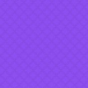 „✨Guadalupe Reinas 2025✨” – egy könyvespolc, Yezz Hi