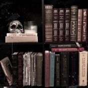 “Books” – a bookshelf, Нелли