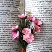 “Для себя💖” – een boekenplank, b2158860790