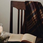 “Что читать в декабре” – a bookshelf, Эльза