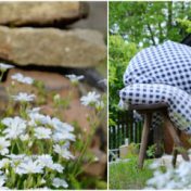«Сад, дом, огород» – полиця, Irina Kalinina