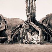„Обнять слона. Полка родительского дзена“ – polica za knjige, Anna Kozhara