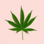 4/20 (o todo lo que quieres saber sobre el cannabis), Bookmate