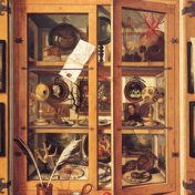 “cabinet of curiosities” – a bookshelf, Беата