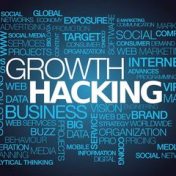 «Growth Hacking» – полиця, Железный Яр