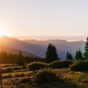 “Stærke biografier som e-bog” – a bookshelf, Bookmate