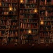 “Читаю с удовольствием” – a bookshelf, Vladik