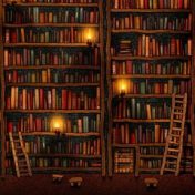 “Для саморазвития” – a bookshelf, Илья