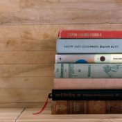 “Žitna poštuje TBR” – a bookshelf, Anja Ninkovic