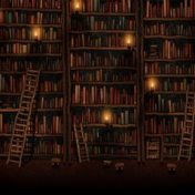 “Далекоидущие планы” – a bookshelf, Даша Милосердова