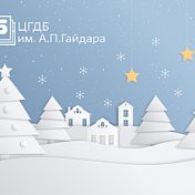 «Рождество и Новый год» — полка, Гайдаровка