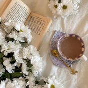 “Isabel Allende” – a bookshelf, Skarlet