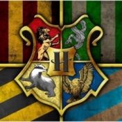 “Hogwarts Houses” – a bookshelf, rthorsfelt