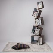 “Романы” – a bookshelf, Yan