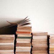 “Юля” – een boekenplank, Tester Test