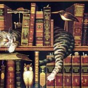 “1001 books you must read before you die” – a bookshelf, Анастасия Рахманова