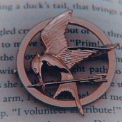 “The Hunger Games” – a bookshelf, Cyn