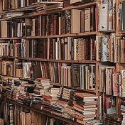 “Все, что ты хотел узнать об искусстве” – a bookshelf, Милена Соколова