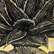 “Sam” – uma estante, Samuel Carmona